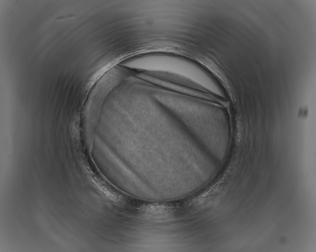 X0000090730834200708031521