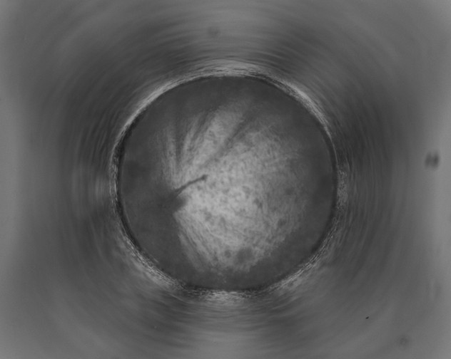 X0000090730835200708031521