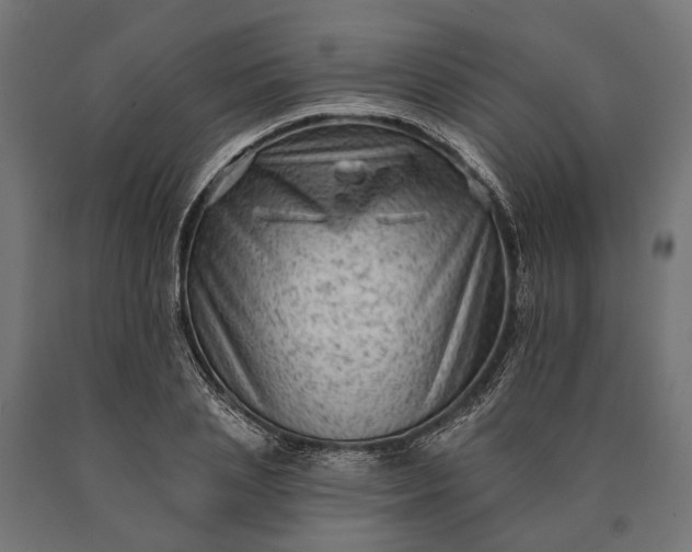 X0000090730837200708031521