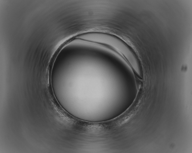 X0000090730838200708031521