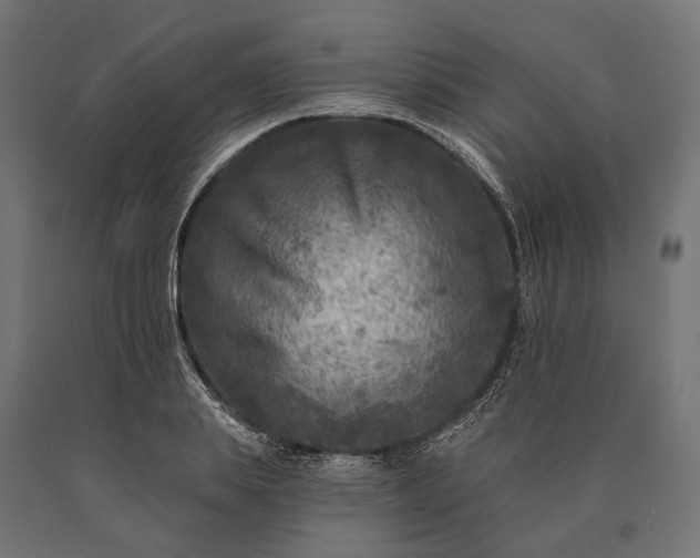 X0000090730839200708031521