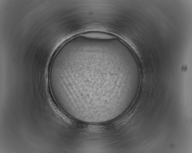 X0000090730840200708031521