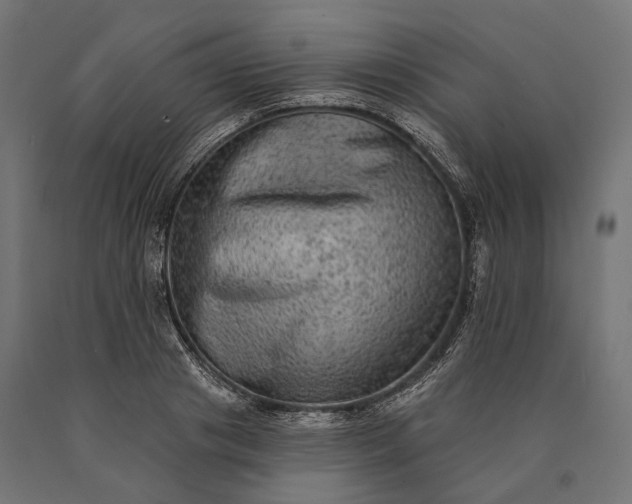 X0000090730841200708031521