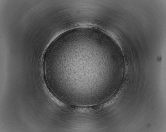 X0000090730843200708031522