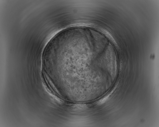 X0000090730844200708031522