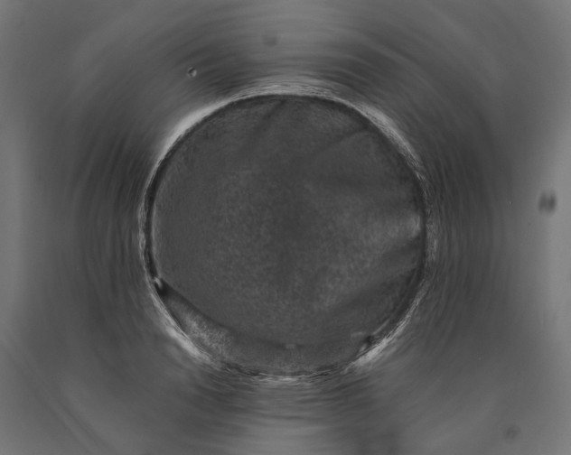 X0000090730846200708031522