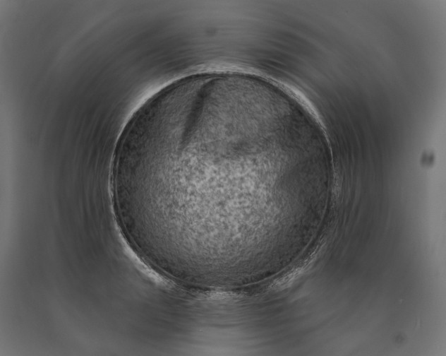 X0000090730847200708031522