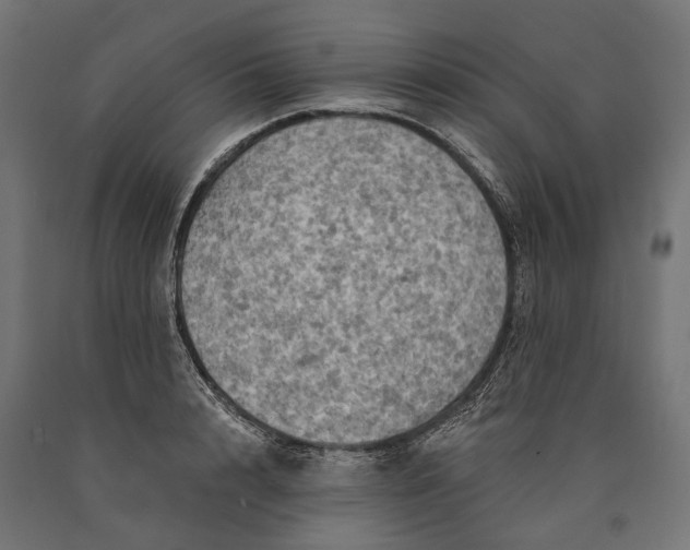 X0000090730848200708031522