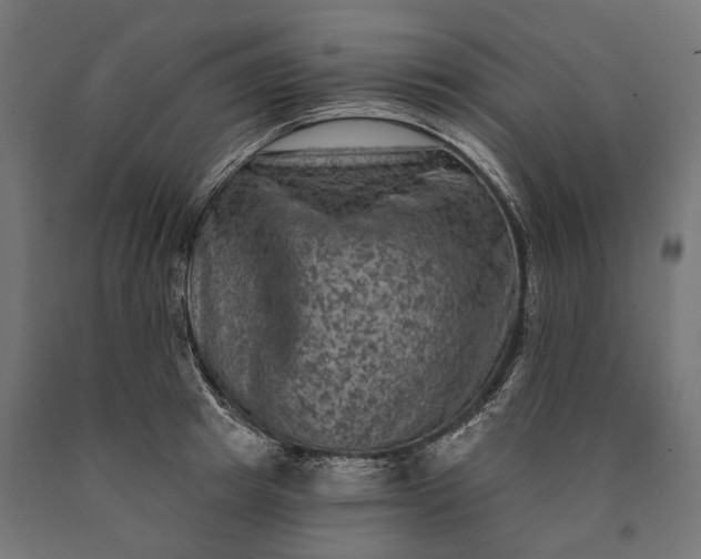 X0000090730849200708031522