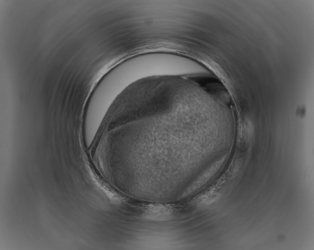 X0000090730850200708031522