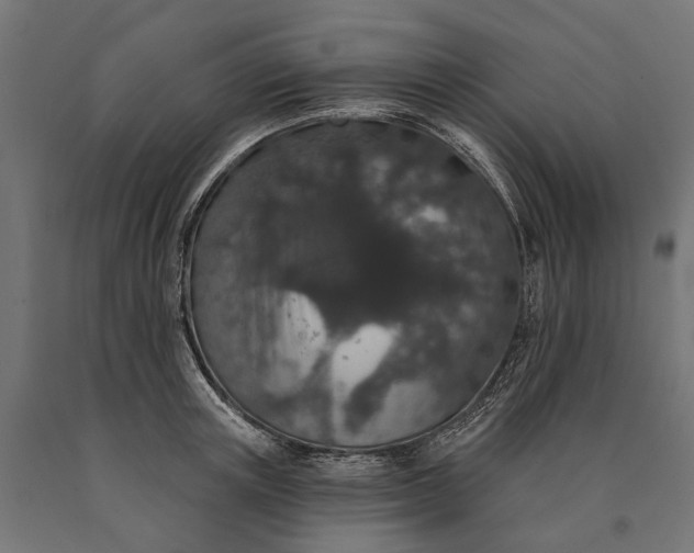 X0000090730851200708031522