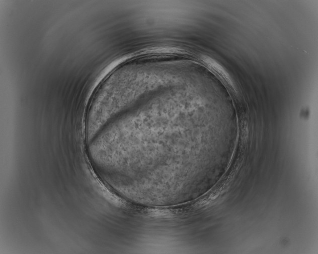 X0000090730852200708031522