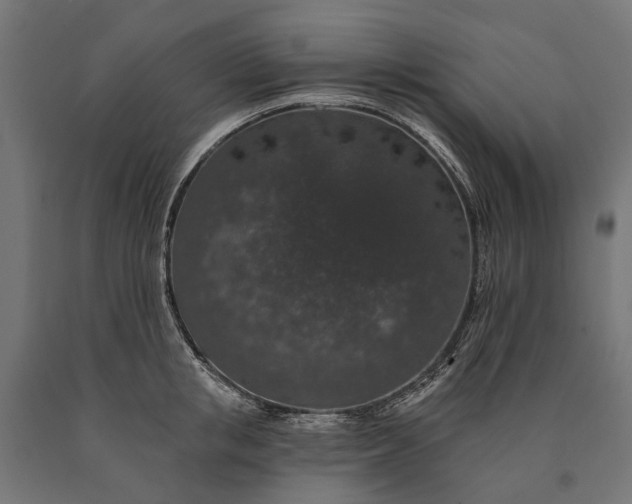 X0000090730853200708031522