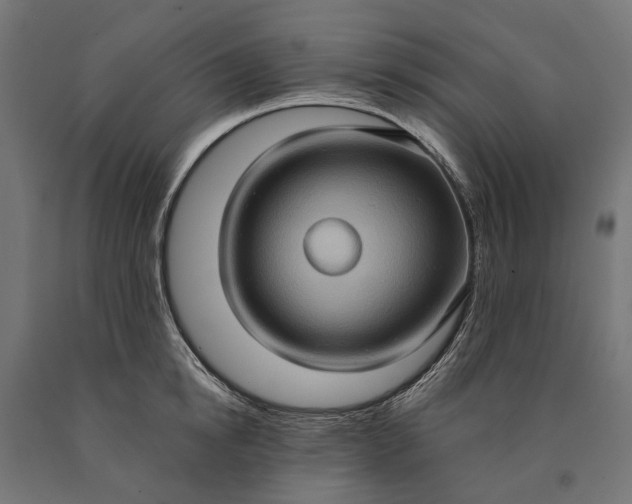 X0000090730854200708031522