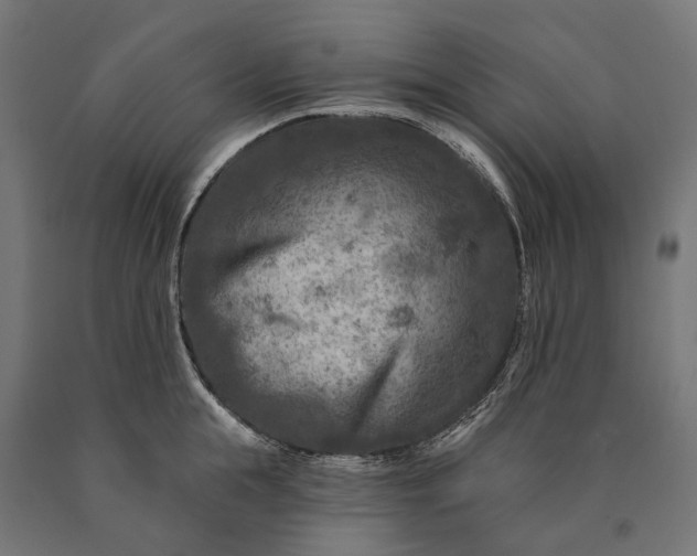 X0000090730855200708031522