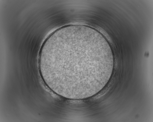 X0000090730856200708031522