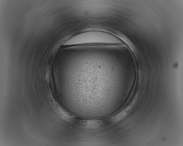 X0000090730857200708031522