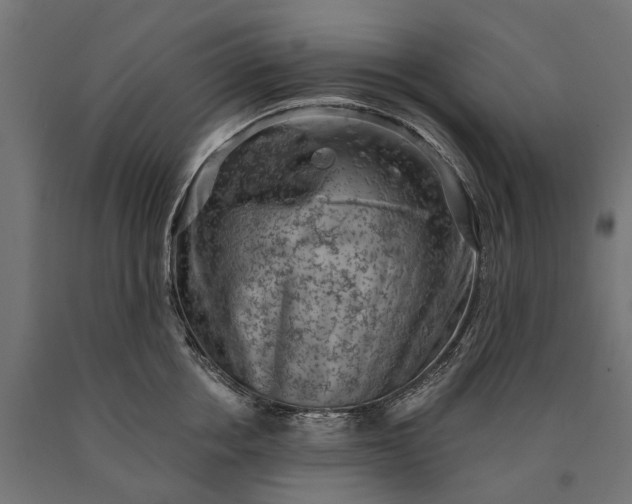 X0000090730858200708031522