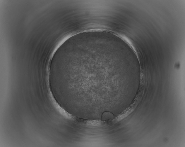 X0000090730859200708031522