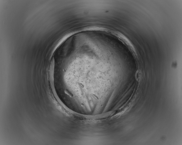 X0000090730860200708031522