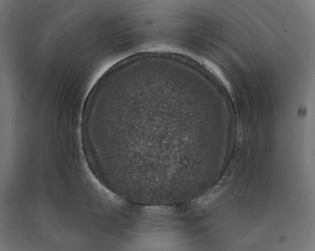 X0000090730863200708031522