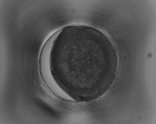 X0000090730864200708031522