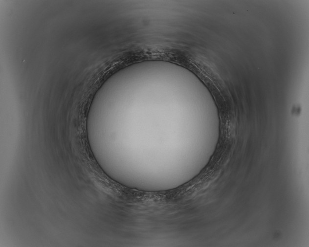 X0000090730865200708031521