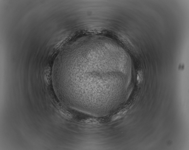 X0000090730867200708031521