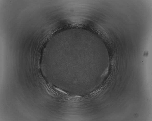 X0000090730868200708031521