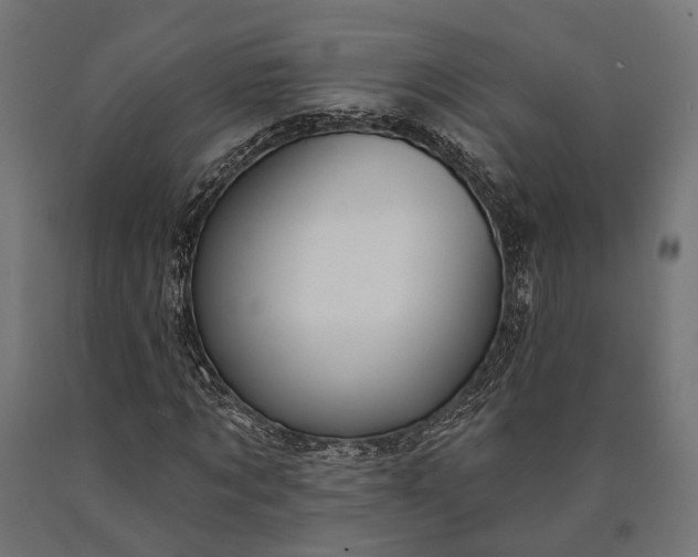 X0000090730869200708031521