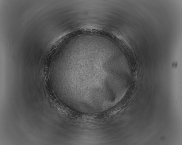 X0000090730870200708031521