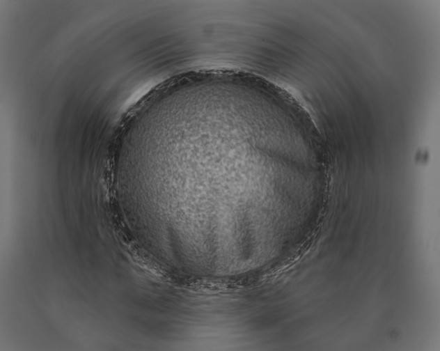 X0000090730871200708031521