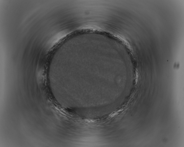 X0000090730872200708031521