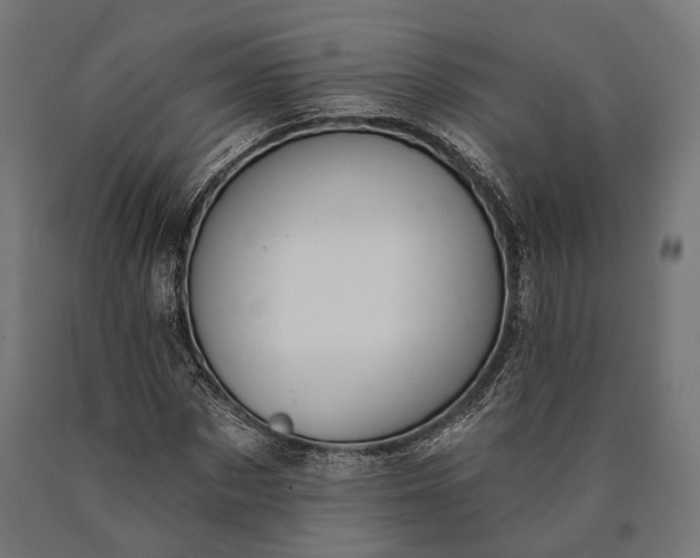 X0000090730873200708031521