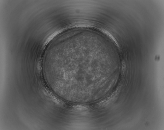 X0000090730874200708031521