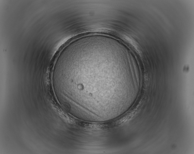 X0000090730875200708031521