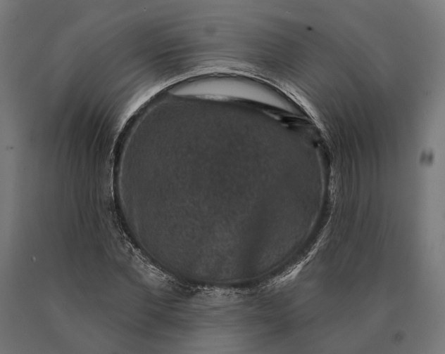 X0000090730877200708031521