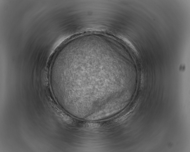 X0000090730878200708031521