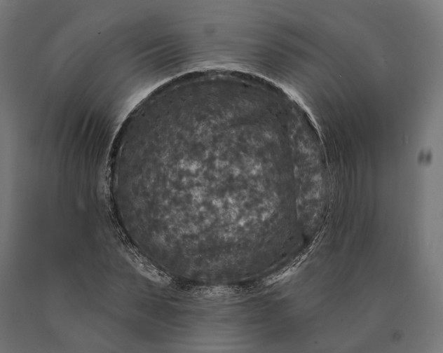 X0000090730879200708031521