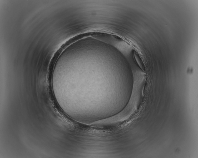 X0000090730880200708031521