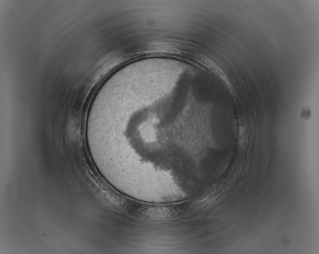 X0000090730882200708031521