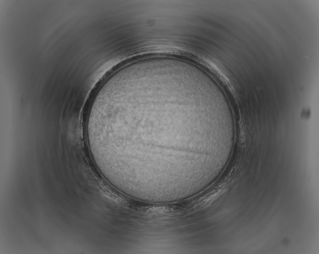 X0000090730883200708031521