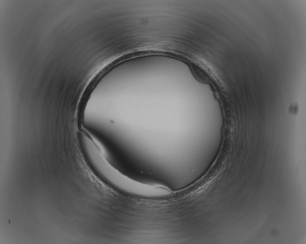 X0000090730884200708031521