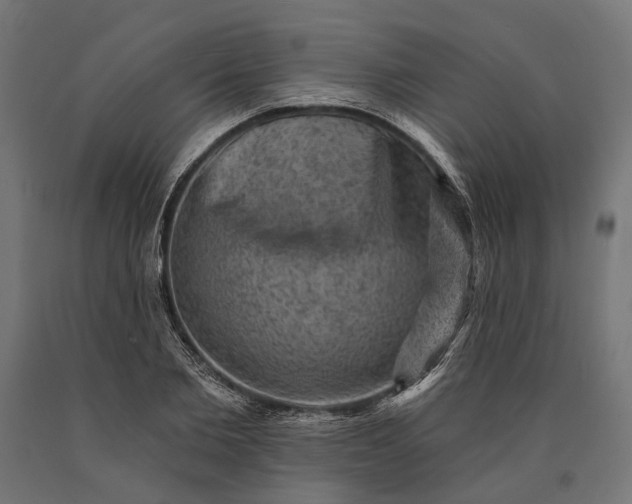 X0000090730885200708031521