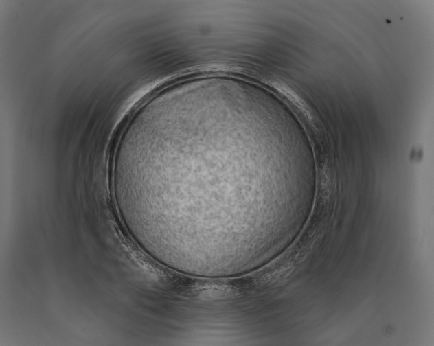 X0000090730886200708031521