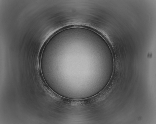 X0000090730887200708031521