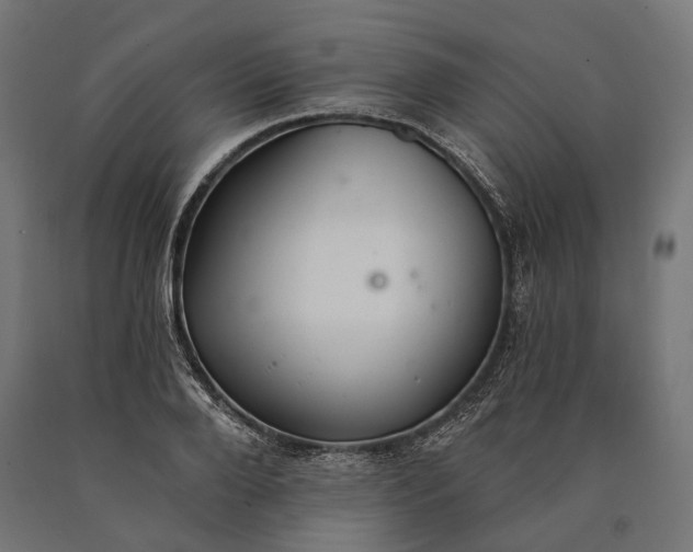 X0000090730888200708031521