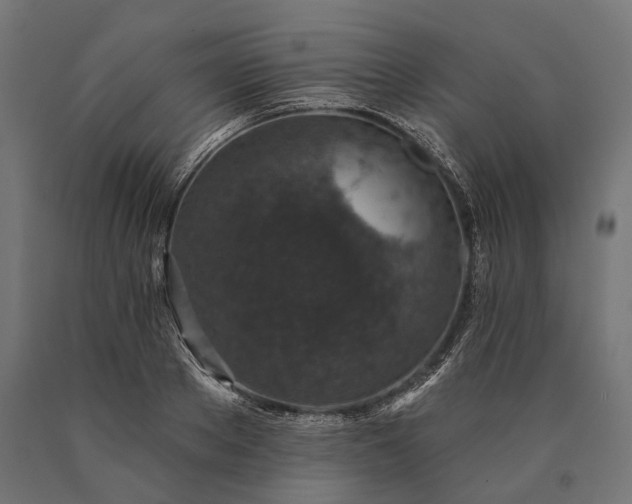 X0000090730889200708031521