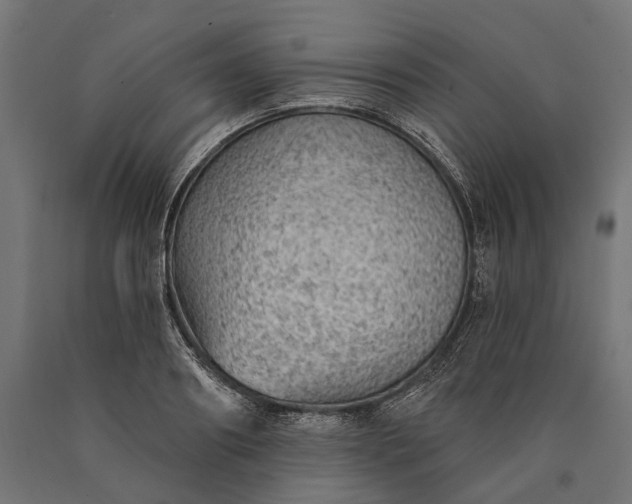 X0000090730890200708031521