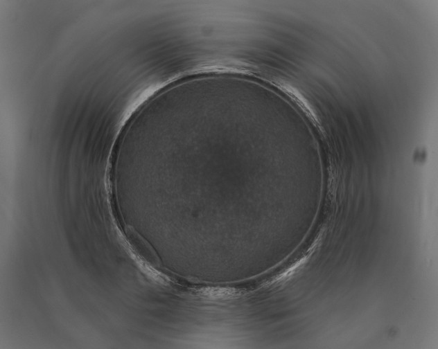 X0000090730893200708031521